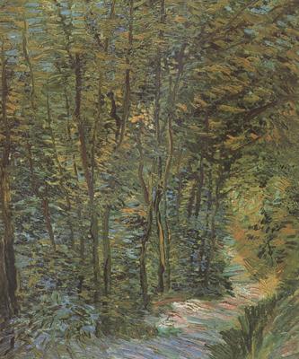 Vincent Van Gogh Path in the Woods (nn04) oil painting picture